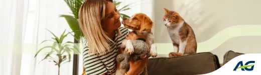 Top Hond & Kat / Top Chien & Chat